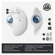Трекбол Logitech Ergo M575 Bluetooth Offwhite (910-005870)