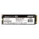 SSD накопитель Team NV5000 3D NAND 1TB M.2 (2280 PCI-E) NVMe x4 (TM8FGM001T0C101)