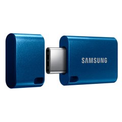 Флеш-накопичувач Samsung 256GB Type C USB-C 400MB/s (MUF-256DA/APC)